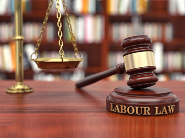 Labour & Service Law Cases